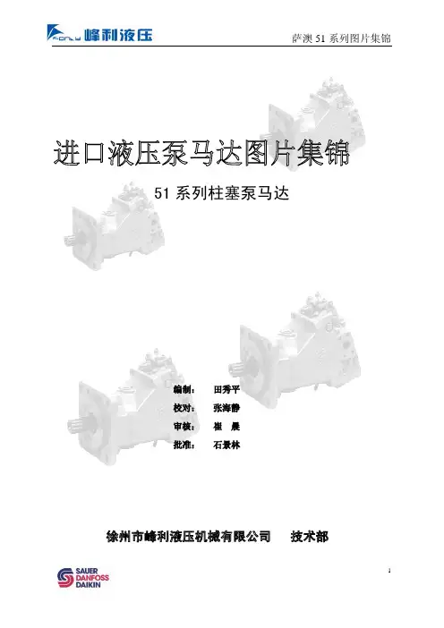 综合图片文件 51系列泵马达图片系列文件