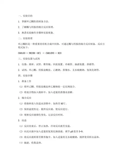 环己酮肟的制备实验报告