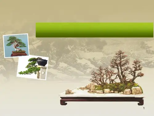 项目六 山水盆景的制作ppt课件