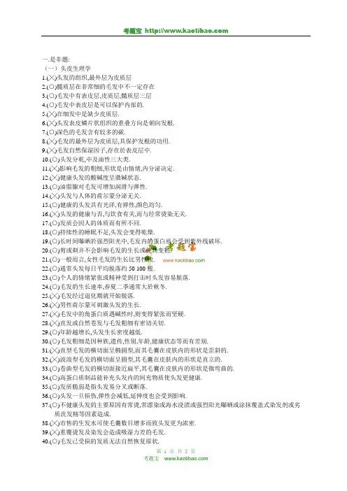 美发技能考核试题