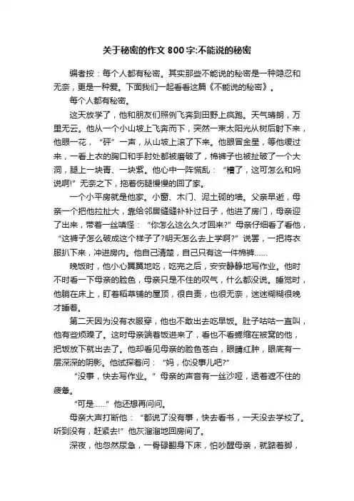 关于秘密的作文800字：不能说的秘密
