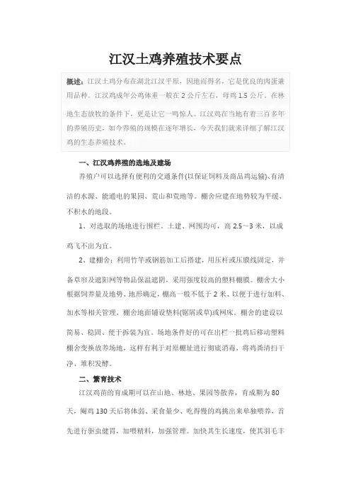 江汉土鸡养殖技术要点