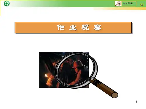 生产现场作业观察