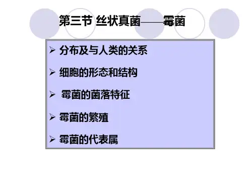 第三节丝状真菌霉菌(2)