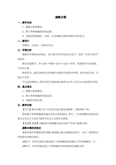 减数分裂 教案 说课稿 教学设计