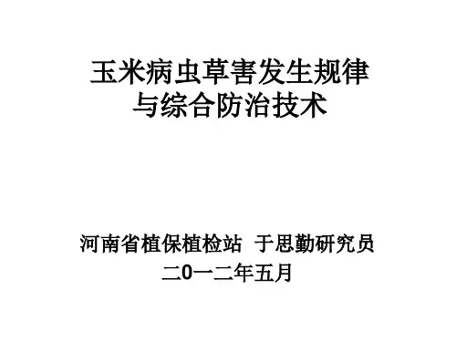 玉米病害防治精品PPT课件