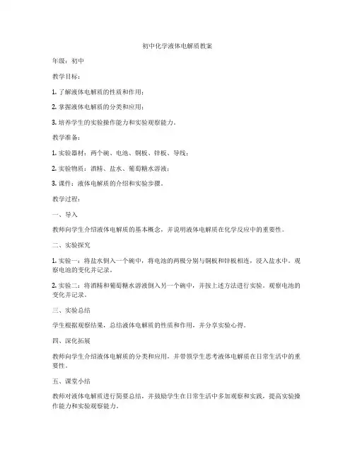 初中化学液体电解质教案