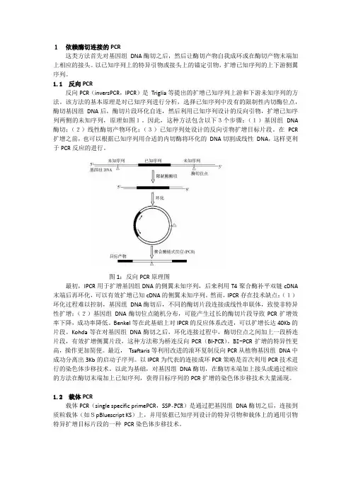 基于PCR的染色体步移