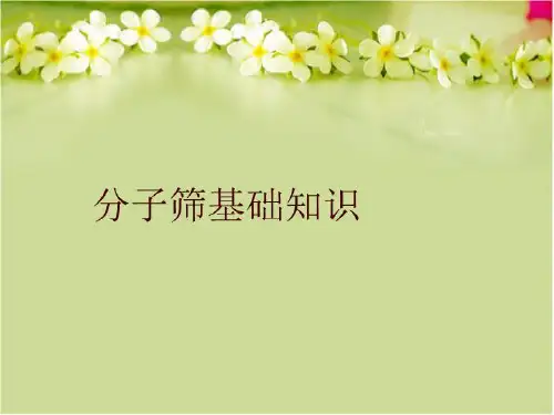 分子筛基础知识