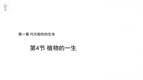 七年级下册科学课件-1.4《植物的一生》  浙教版