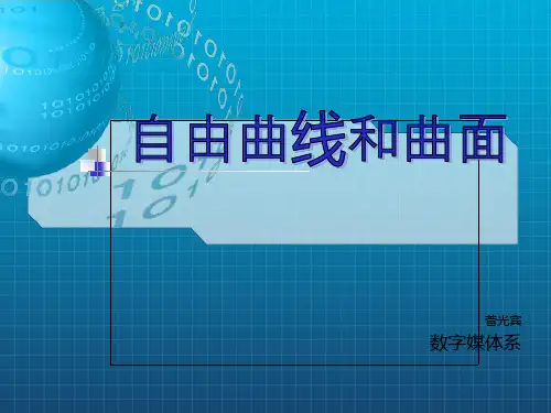 《自由曲线与曲面》PPT课件