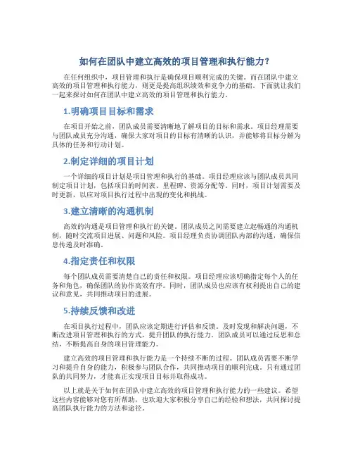 如何在团队中建立高效的项目管理和执行能力？