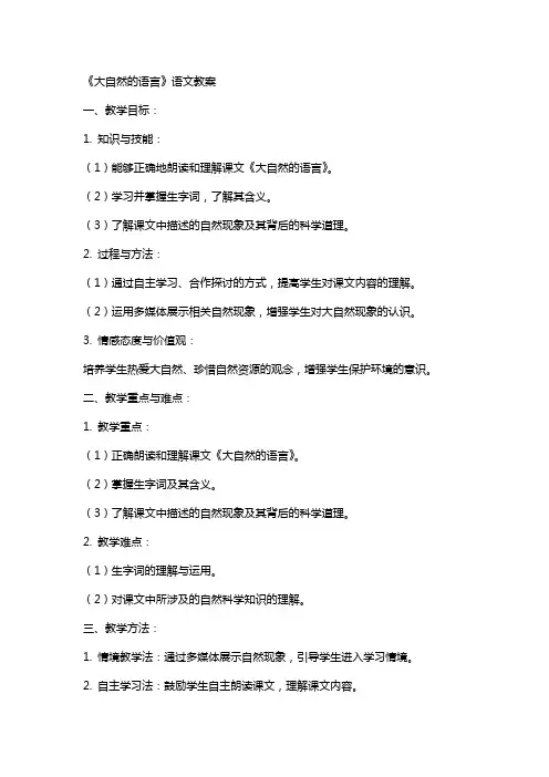 《大自然的语言》语文教案