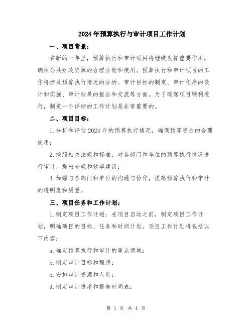 2024年预算执行与审计项目工作计划