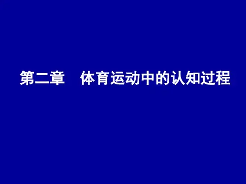 体育运动中的认知过程体育运动中感知觉一