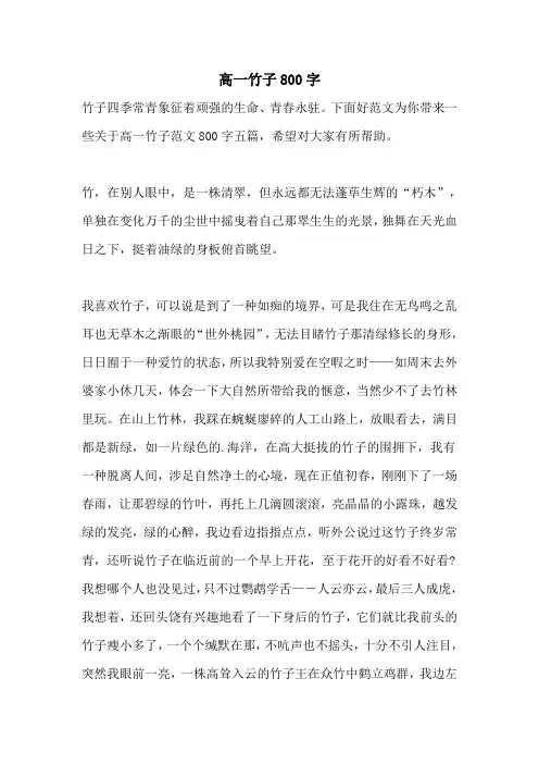 高一竹子800字
