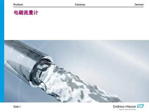 E+H电磁流量计-故障诊断