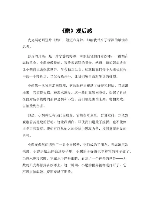 《鹬》观后感