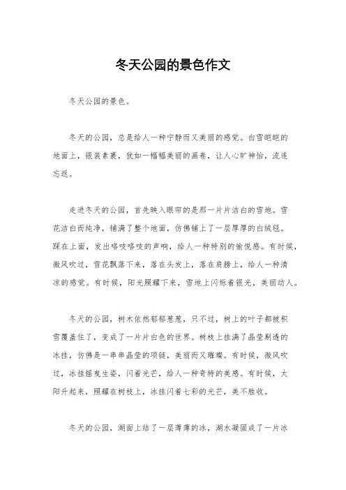 冬天公园的景色作文