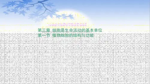苏教版生物七年级上册：第3章 第一节 植物细胞的结构和功能-课件