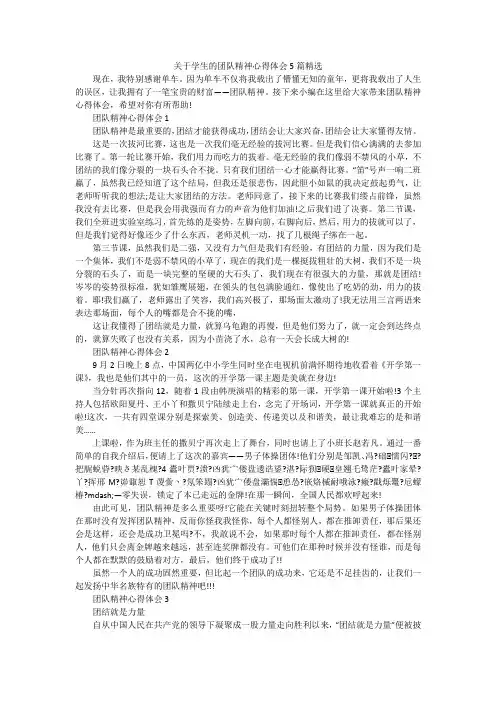 关于学生的团队精神心得体会5篇精选