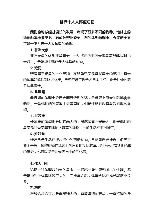 世界十大大体型动物