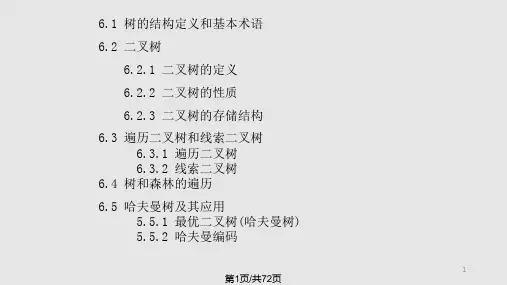 树的结构定义和基本术语精PPT课件