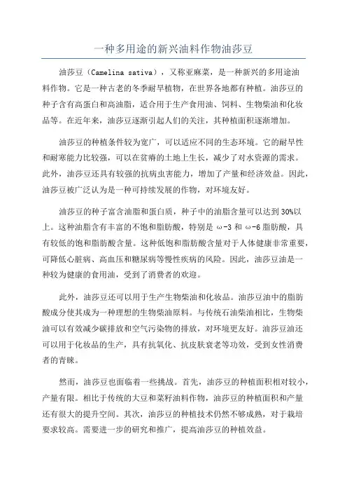 一种多用途的新兴油料作物油莎豆