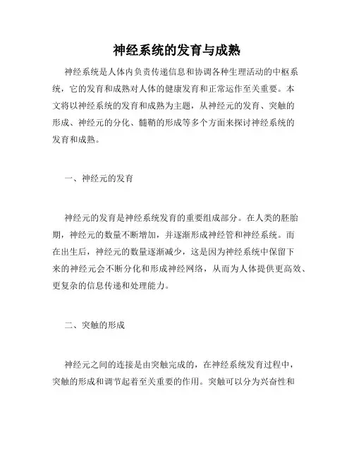 神经系统的发育与成熟