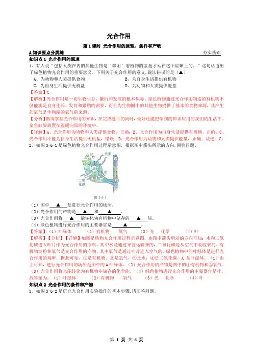 光合作用的原理、条件与产物(解析版)