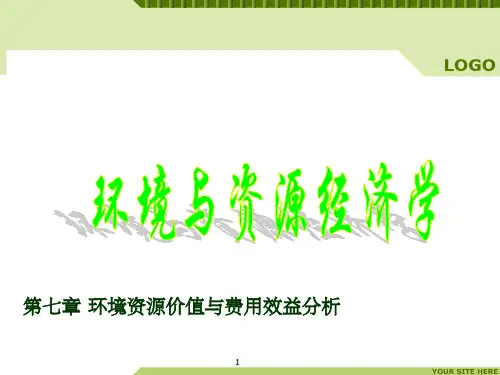 费用效益分析