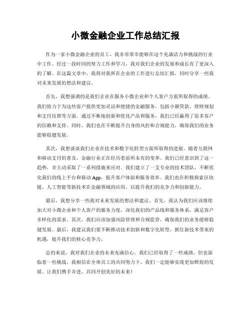 小微金融企业工作总结汇报