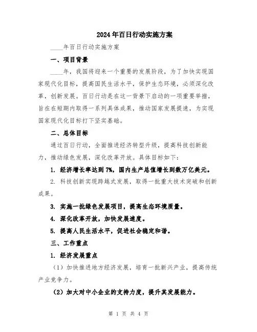 2024年百日行动实施方案