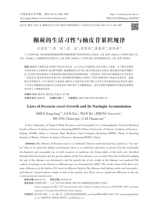 槲蕨的生活习性与柚皮苷累积规律
