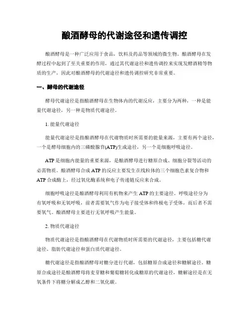 酿酒酵母的代谢途径和遗传调控