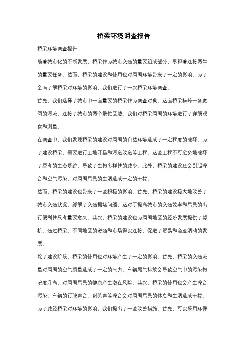 桥梁环境调查报告