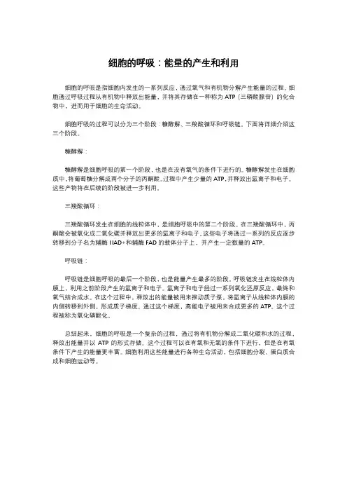 细胞的呼吸：能量的产生和利用