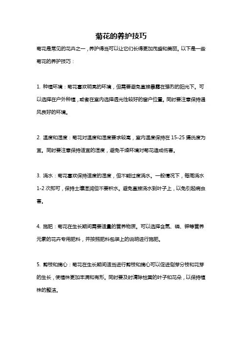 菊花的养护技巧