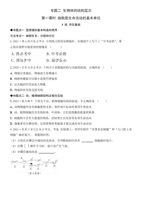 2024年河北省中考生物总复习专题分层练习：专题二+生物体的结构层次