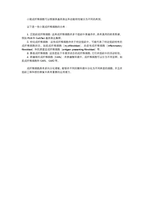 小鼠成纤维细胞 分类