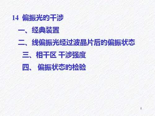 偏振光的干涉