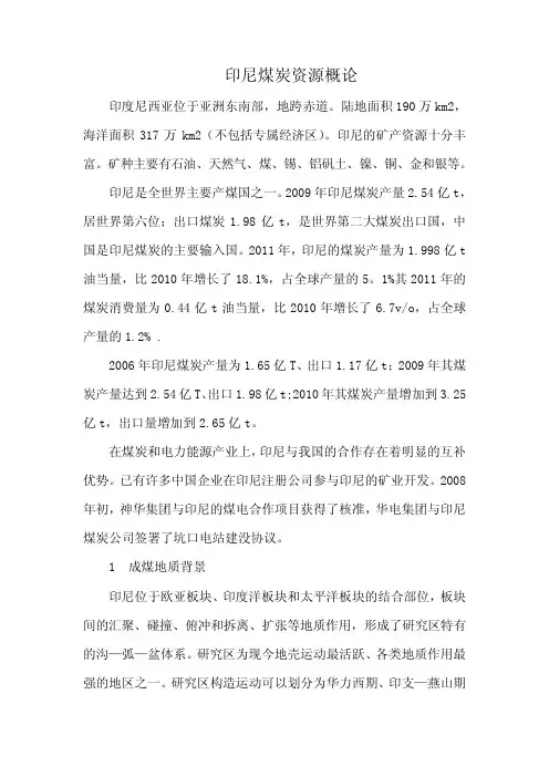 印尼煤炭资料