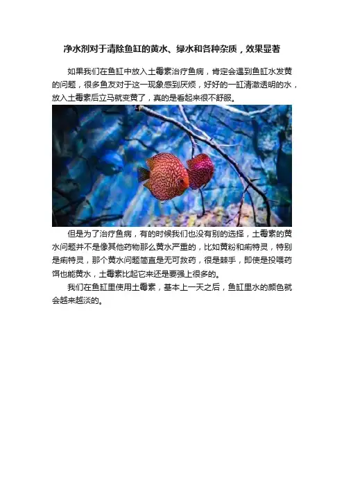 净水剂对于清除鱼缸的黄水、绿水和各种杂质，效果显著