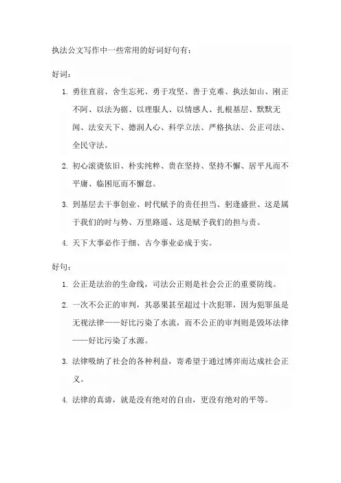 执法公文写作好词好句