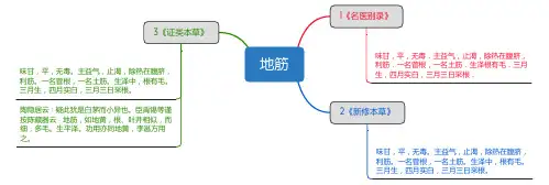 地筋_思维导图_中药学_药材来源详解