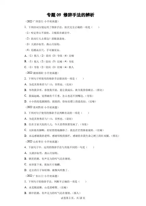 小升初修辞手法的辨析专项练习