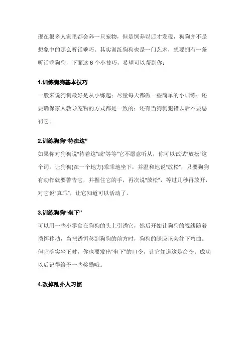 训练狗狗习性的小技巧