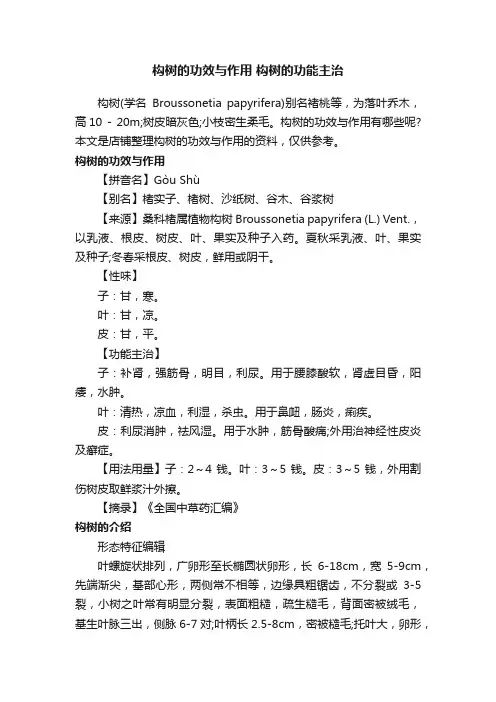 构树的功效与作用构树的功能主治