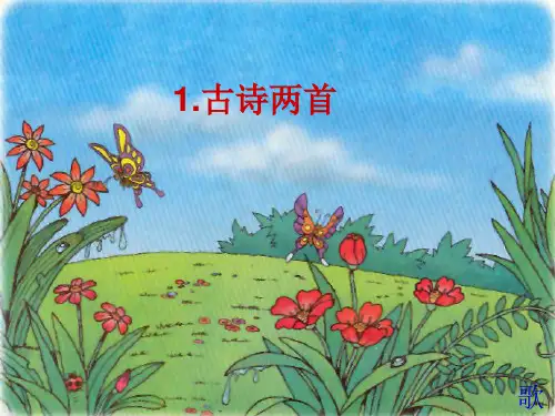 《古诗-春晓》PPT课件全文