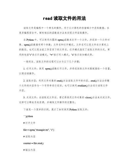 read读取文件的用法